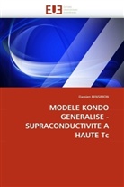 Damien Bensimon, Bensimon-D - Modele kondo generalise