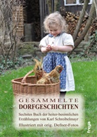 Karl Schreibelmayr - Gesammelte Dorfgeschichten. Tl.6
