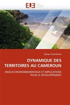Michel Tchotsoua, Tchotsoua-m - Dynamique des territoires au