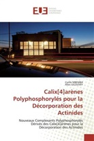Collectif, Marc Lecouvey, Cyrill MBEMBA, Cyrille Mbemba - Calix 4 arenes polyphosphoryles