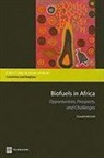 Donald Mitcehll, Donald Mitchell - Biofuels in Africa