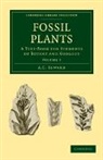 A. C. Seward - Fossil Plants