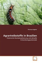 Thomas Angerer - Agrartreibstoffe in Brasilien