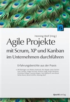 Hennin Wolf, Henning Wolf - Agile Projekte mit Scrum, XP und Kanban im Unternehmen durchführen