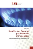 Corine Lacour, Lacour-c - Stabilite des flammes