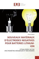 Florent Robert, Robert-F - Nouveaux materiaux d electrodes