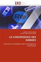 Collectif, Nyock Ilouga Aude Carine, SAMUE NYOCK ILOUGA, Samuel Nyock Ilouga - La convergence des normes