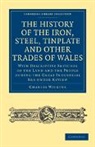 Charles Wilkins - History of the Iron, Steel, Tinplate and Other Trades of Wales