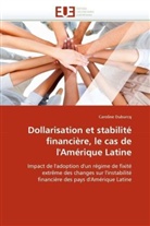Caroline Duburcq, Duburcq-C - Dollarisation et stabilite