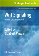 Elizabet Vincan, Elizabeth Vincan - Wnt Signaling