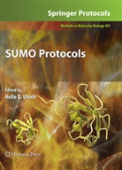 Hell Ulrich, Helle Ulrich, Helle D. Ulrich - SUMO Protocols