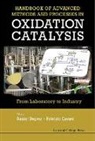 Duprez Daniel, Daniel (Univ De Poitiers Duprez, Daniel Cavani Duprez, Fabrizio Cavani, Fabrizio (Univ Di Bologna Cavani, Daniel Duprez... - Handbook of Advanced Methods and Processes in Oxidation Catalysis: