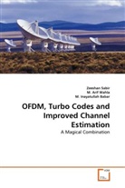 Arif Wahla, M. Arif Wahla, M Inayatullah Babar, M. Inayatullah Babar, Zeesha Sabir, Zeeshan Sabir - OFDM, Turbo Codes and Improved Channel Estimation