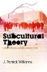 Dr. J. Patrick Williams, J Patrick Williams, J. Patrick Williams - Subcultural Theory - Traditions and Concepts