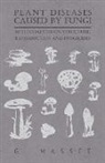 G. Massee - Plant Diseases Caused by Fungi - With Chapters on Structure, Reproduction and Fungicides