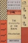 John M'Fadyean - The Anatomy of the Horse - A Dissection Guide