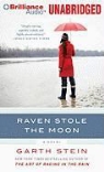 Garth Stein, Jennifer Van Dyck, Jennifer Vandyck, Jennifer Van Dyck - Raven Stole the Moon (Audiolibro)