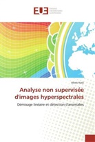 Alexis Huck, Huck-A - Analyse non supervisee d images