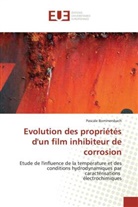 Pascale Bommersbach, Bommersbach-P - Evolution des proprietes d un