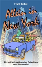 Frank Szillat - Allein in New York