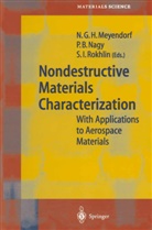 Pete B Nagy, Peter B Nagy, Stanislav I Rokhlin, Norbert G. H. Meyendorf, Peter B. Nagy, Stanislav Rokhlin... - Nondestructive Materials Characterization