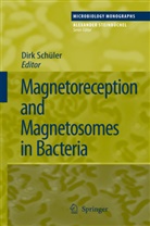 Dir Schüler, Dirk Schüler - Magnetoreception and Magnetosomes in Bacteria