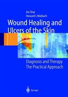 Howard I Maibach, Howard I. Maibach, Av Shai, Avi Shai - Wound Healing and Ulcers of the Skin