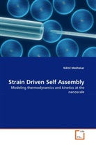 Nikhil Medhekar - Strain Driven Self Assembly