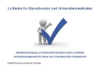 Gerhard Schade, Detlef Smolinski - Leitfaden für Steuerberater und Unternehmensinhaber
