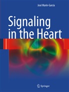 Jose Marin-Garcia, José Marín-García - Signaling in the Heart