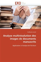 Guillaume Joutel, Joutel-G - Analyse multiresolution des