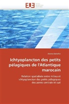 Amina Berraho, Berraho-A - Ichtyoplancton des petits