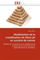Teddy LIBELLE, Libelle-T - Modelisation de la