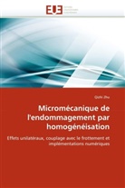 Qizhi Zhu, Zhu-Q - Micromecanique de l endommagement