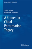 Stefa Scherer, Stefan Scherer, Matthias Schindler, Matthias R Schindler, Matthias R. Schindler - A Primer for Chiral Perturbation Theory
