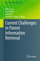 Mihai Lupu, Katja Mayer, John Tait, Anthony J. Trippe - Current Challenges in Patent Information Retrieval
