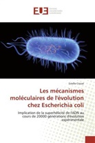 Estelle Crozat, Crozat-e - Les mecanismes moleculaires de l