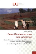Aurélien Deroche, Deroche-a - Desertification en zone sub