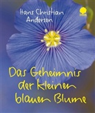 Hans  Christian Andersen, Hans C Andersen - Das Geheimnis der kleinen blauen Blume