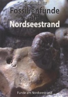 Fossilienfunde am Nordseestrand