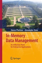 Hasso Plattner, Alexander Zeier - In-Memory Data Management
