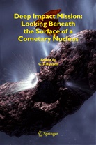 C. T. Russell, C.T. Russell, Christopher Russell, Christopher T. Russell, T Russell, C T Russell - Deep Impact Mission: Looking Beneath the Surface of a Cometary Nucleus