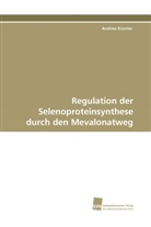 Andrea Kromer - Regulation der Selenoproteinsynthese durch den Mevalonatweg