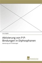 Imre Hajdok - Aktivierung von P-P-Bindungen in Diphosphanen