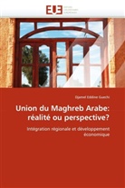Eddine Guechi-D, Djamel Eddine Guechi - Union du maghreb arabe: realite