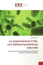 Dany Morisset, Morisset-D - La mesentericine y105, une