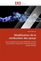 Nicolas Baricault, Baricault-N - Modelisation de la combustion des