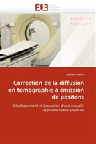 Bastien Guérin, Guerin-b - Correction de la diffusion en