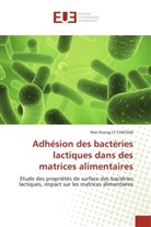 Mai-Huong Ly-Chatain, Ly-Chatain-M - Adhesion des bacteries lactiques