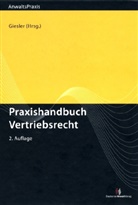 Andr Scheffels, Tim Olive Vogels, Sebastia Witt, Jan P. Giesler, Jan Patrick Giesler, D Jan Patrick Giesler - Praxishandbuch Vertriebsrecht